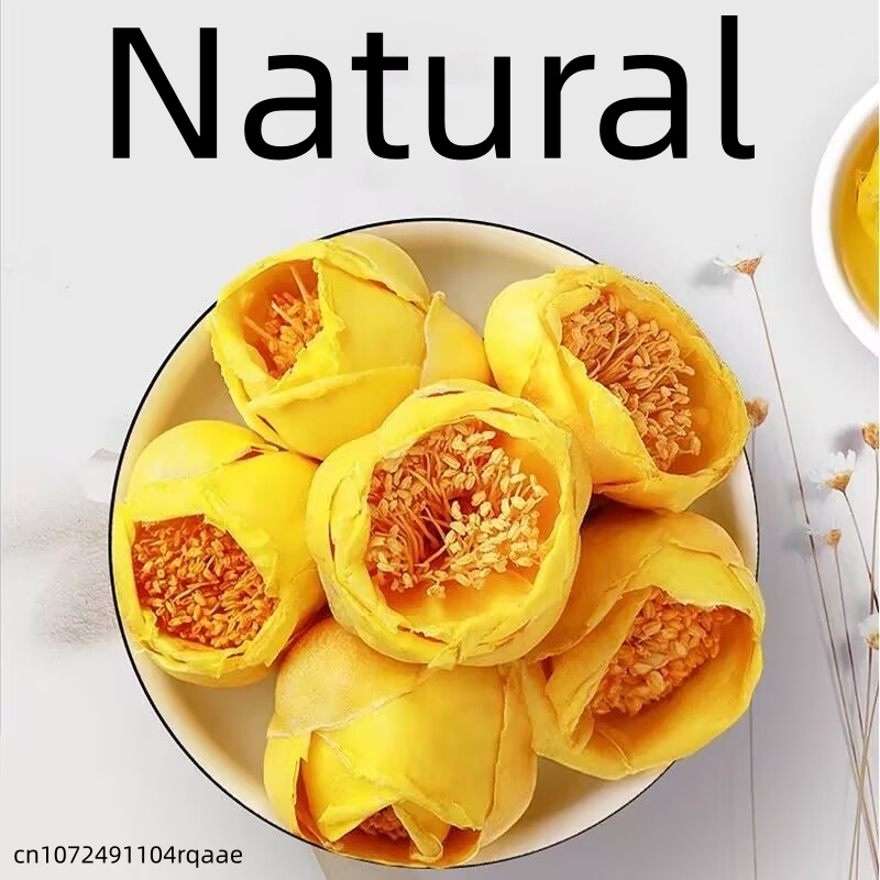 Candle Making Diy - زهرة الكاميليا النيتيديسيما المجففة الفاخرة 50